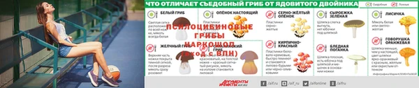 молекула духа Аркадак