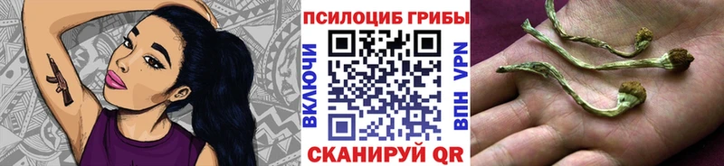 Галлюциногенные грибы мухоморы  сайты даркнета формула  Тейково 